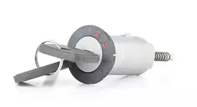 Замок, замок-выключатель BSG купить